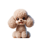 3D Art Dog Friends Toy Poodle Simple 2（個別スタンプ：12）