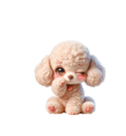 3D Art Dog Friends Toy Poodle Simple 2（個別スタンプ：16）