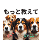 動物の日常リアクション(Dog only)（個別スタンプ：11）