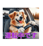 動物の日常リアクション(Dog only)（個別スタンプ：31）