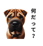 動物の日常リアクション(Dog only)（個別スタンプ：32）