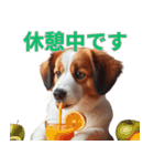 動物の日常リアクション(Dog only)（個別スタンプ：34）