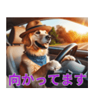 動物の日常リアクション(Dog only)（個別スタンプ：36）