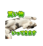 まはほ rev2（個別スタンプ：21）
