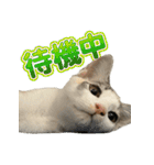まはほ rev2（個別スタンプ：23）