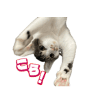 まはほ rev2（個別スタンプ：27）