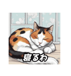 三毛ねこスタンプ（個別スタンプ：6）