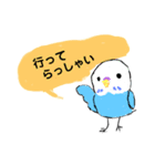 青いインコ。オーちゃん（個別スタンプ：17）