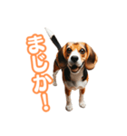 ビーグル犬のビー太（個別スタンプ：3）