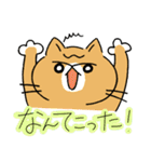 生活するねここちゃちゃ（個別スタンプ：24）