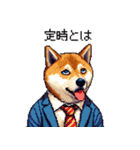 ドット絵 働く柴犬2 社会人 働きたくない（個別スタンプ：24）