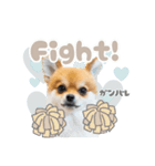 くぅたん② @qoothepomchi（個別スタンプ：2）