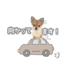 くぅたん② @qoothepomchi（個別スタンプ：14）