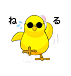 ひよこのすぎちゃん（個別スタンプ：8）