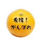 合格祈願3（個別スタンプ：8）