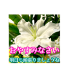 敬語でユリを添えて（個別スタンプ：4）