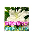 敬語でユリを添えて（個別スタンプ：6）