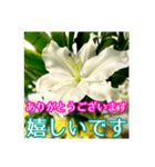 敬語でユリを添えて（個別スタンプ：7）