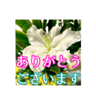 敬語でユリを添えて（個別スタンプ：9）