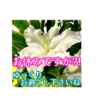 敬語でユリを添えて（個別スタンプ：13）