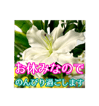 敬語でユリを添えて（個別スタンプ：14）