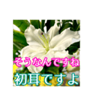 敬語でユリを添えて（個別スタンプ：19）