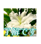 敬語でユリを添えて（個別スタンプ：37）