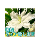 敬語でユリを添えて（個別スタンプ：39）