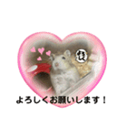 天使ん爛漫ハムスターきいちゃん2〜日常〜（個別スタンプ：1）