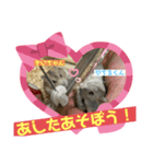 天使ん爛漫ハムスターきいちゃん2〜日常〜（個別スタンプ：8）