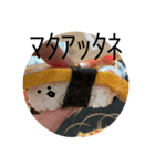 寿司のゆるスタンプ（個別スタンプ：23）