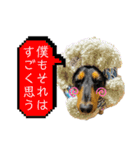 しっかりしてほしい晩寅さん。（個別スタンプ：2）