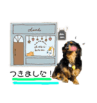 しっかりしてほしい晩寅さん。（個別スタンプ：5）