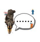 しっかりしてほしい晩寅さん。（個別スタンプ：7）