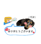 しっかりしてほしい晩寅さん。（個別スタンプ：12）
