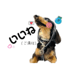 しっかりしてほしい晩寅さん。（個別スタンプ：13）