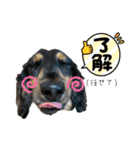 しっかりしてほしい晩寅さん。（個別スタンプ：15）