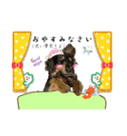 しっかりしてほしい晩寅さん。（個別スタンプ：20）