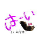 しっかりしてほしい晩寅さん。（個別スタンプ：22）