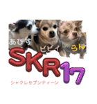 SKR17（シャクレセブンティーン）＆マルウ（個別スタンプ：1）