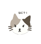 ねこちゃんスタンプ2（日本語）（個別スタンプ：6）