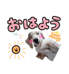 うたちゃん by晩ママ（個別スタンプ：1）