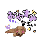 うたちゃん by晩ママ（個別スタンプ：2）