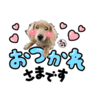 うたちゃん by晩ママ（個別スタンプ：3）
