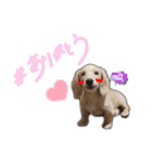 うたちゃん by晩ママ（個別スタンプ：4）