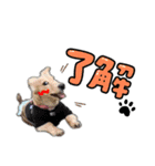 うたちゃん by晩ママ（個別スタンプ：6）