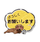 うたちゃん by晩ママ（個別スタンプ：7）