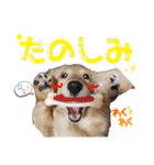 うたちゃん by晩ママ（個別スタンプ：11）