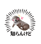 うたちゃん by晩ママ（個別スタンプ：14）