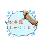 うたちゃん by晩ママ（個別スタンプ：15）